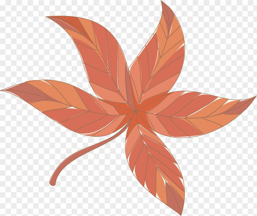 Leaf Orange S.a. Science Plants PNG