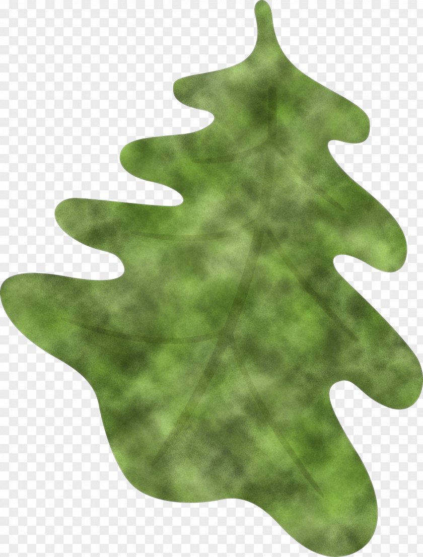 Oak Leaf PNG