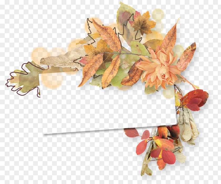 Autumn Gold Photography Image Maple Leaf Centerblog PNG