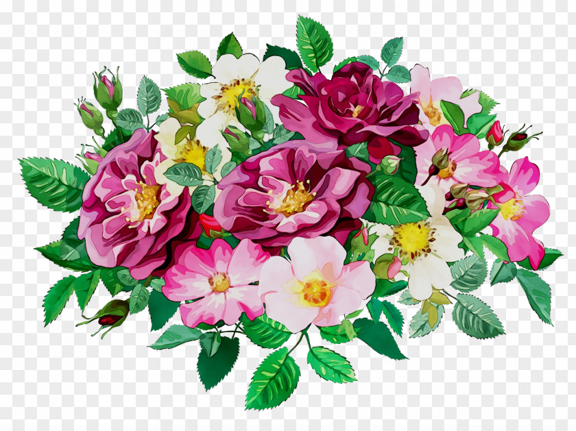 Cabbage Rose Image Garden Roses Day Floral Design PNG