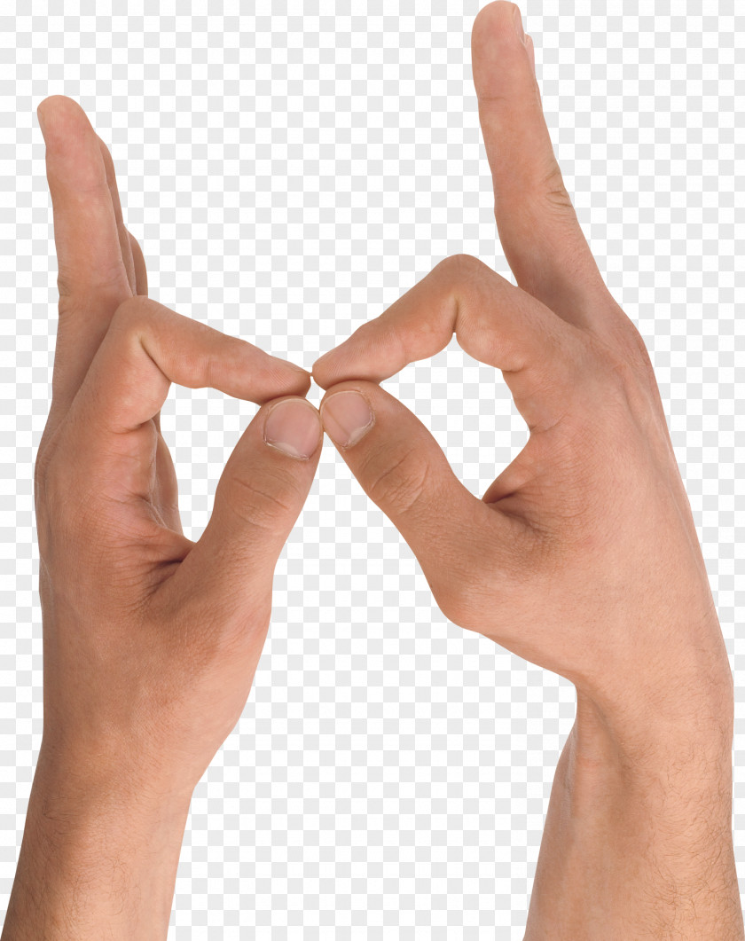 Hands , Hand Image Free Icon PNG