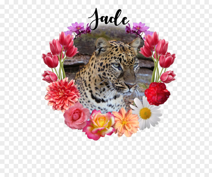 Leopard Cat Flowerz Whiskers Lexa Hill PNG