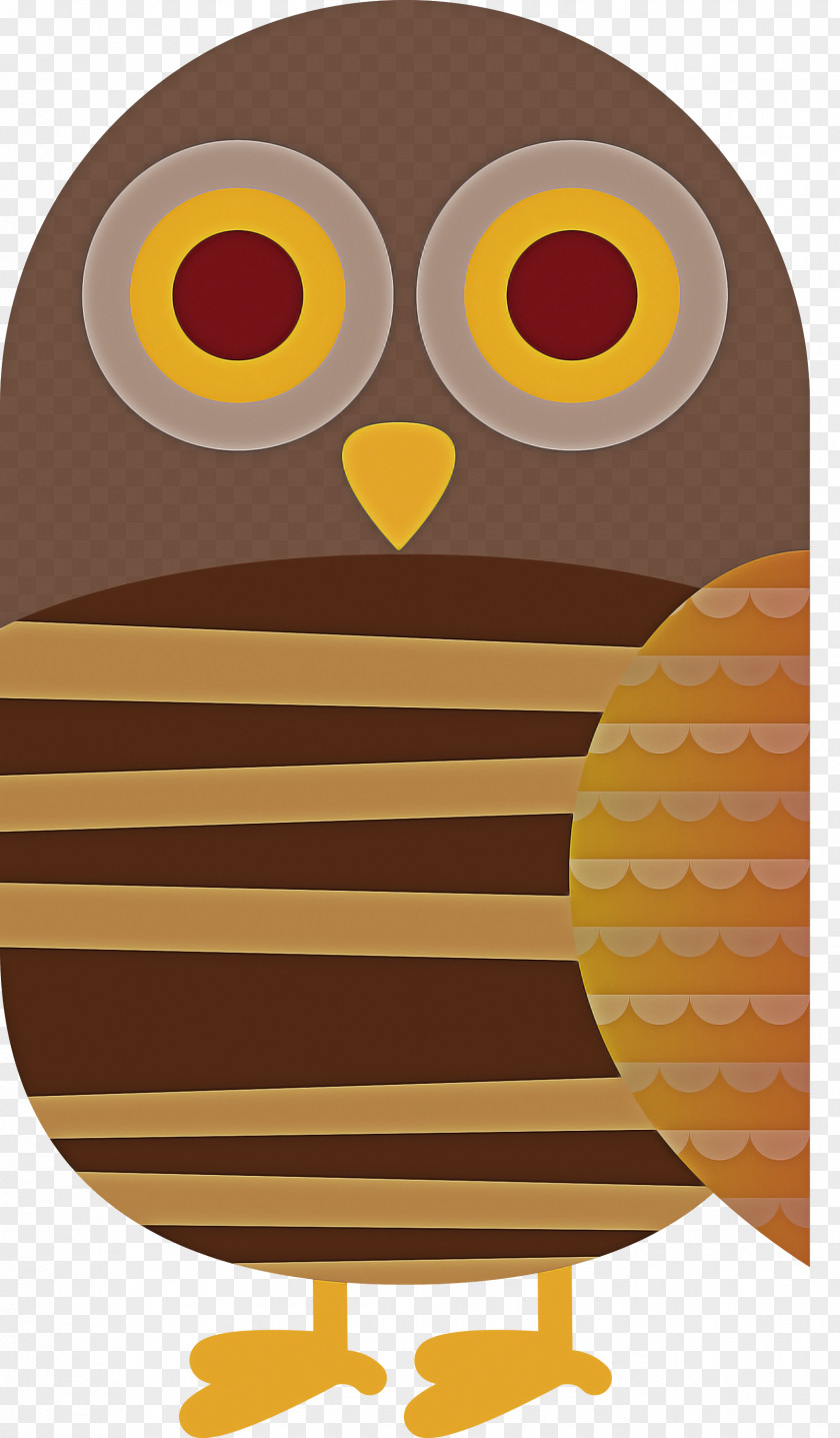 Owls Birds Indian Scops Owl Eastern Screech Tawny PNG