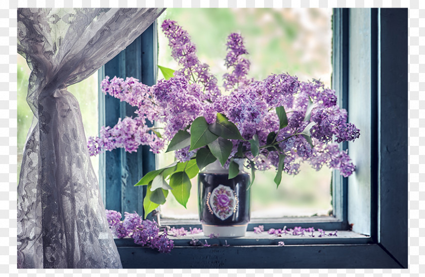 Window Sill Curtain Flower Lilac PNG