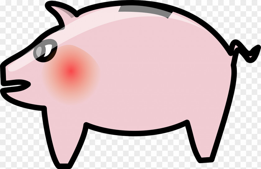 Bank Piggy Saving Money Coin PNG