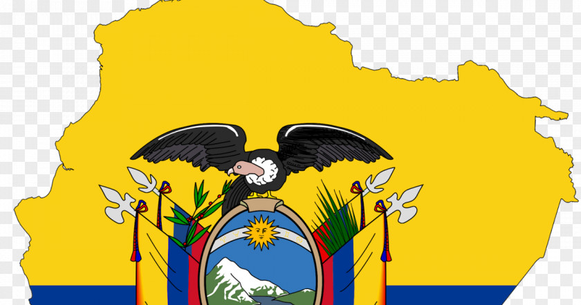 Flag Of Ecuador Flags The World Ukraine PNG