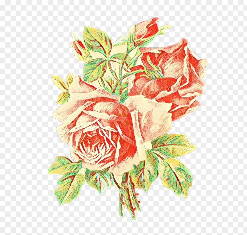 Garden Roses PNG