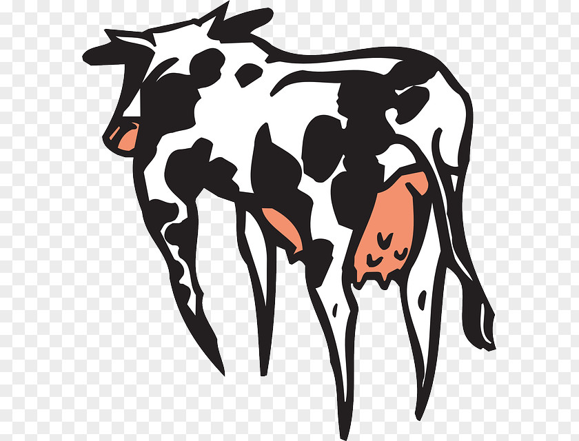 Milk Texas Longhorn English North Devon Cattle Clip Art PNG