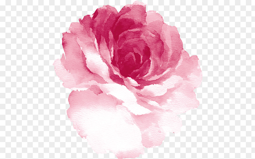 Painting Watercolor Watercolor: Flowers Rose Watercolour PNG