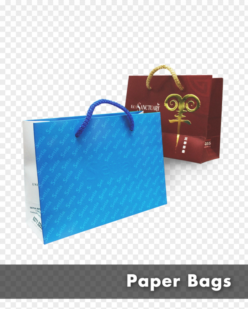 Paper Bag Shopping Bags & Trolleys Handbag PNG