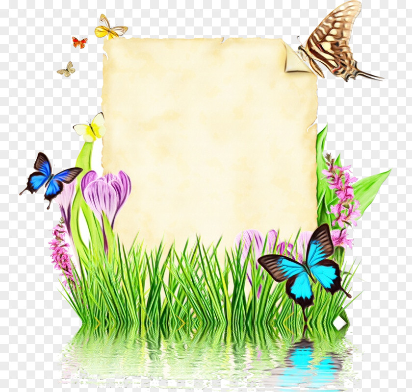 Picture Frame Morning Glory Flower Background PNG