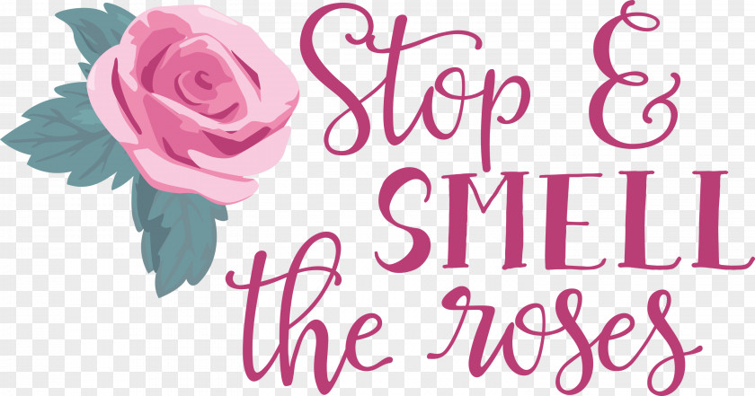 Rose Stop And Smell The Roses PNG