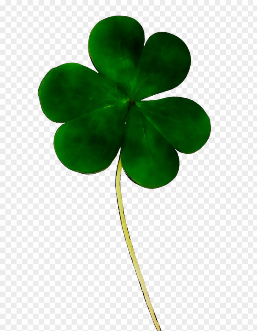 Shamrock Four-leaf Clover Stock.xchng Saint Patrick's Day PNG