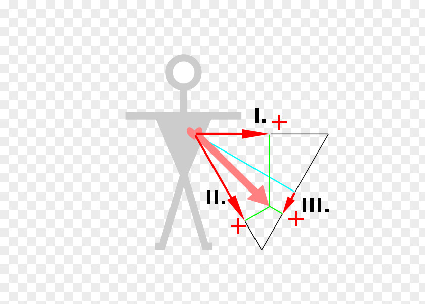 Willem Einthoven (1860-1927) Einthoven's Triangle Electrocardiography Heart PNG