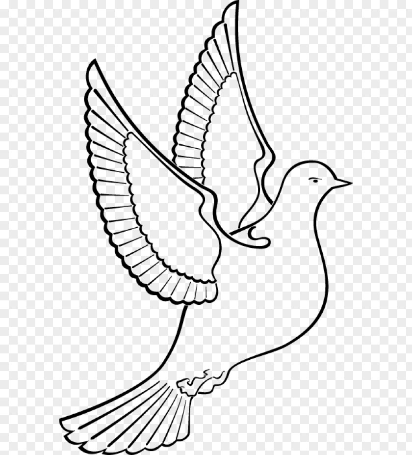 Dove Silhouette Columbidae Drawing Clip Art PNG