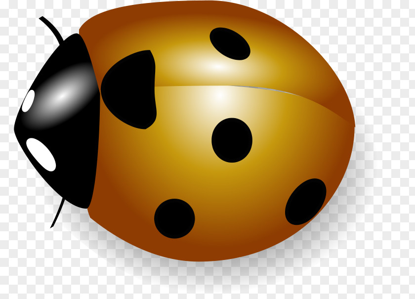 Ladybird Coccinella Clip Art PNG