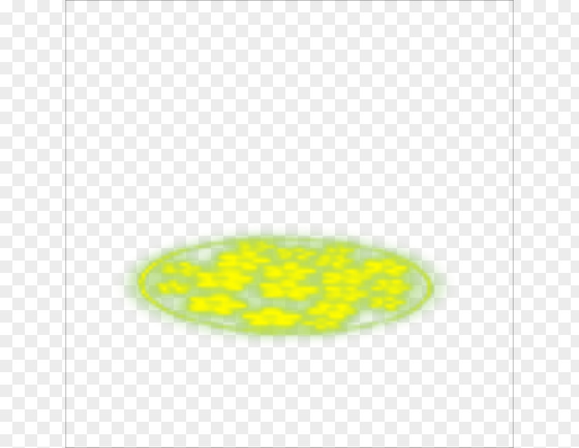 Light Effect Yellow Organism Oval PNG