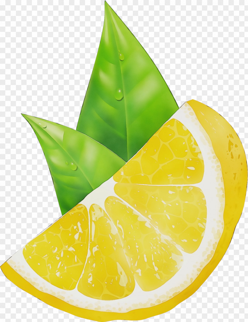 Plant Fruit Citrus Lime Key Leaf Yellow PNG