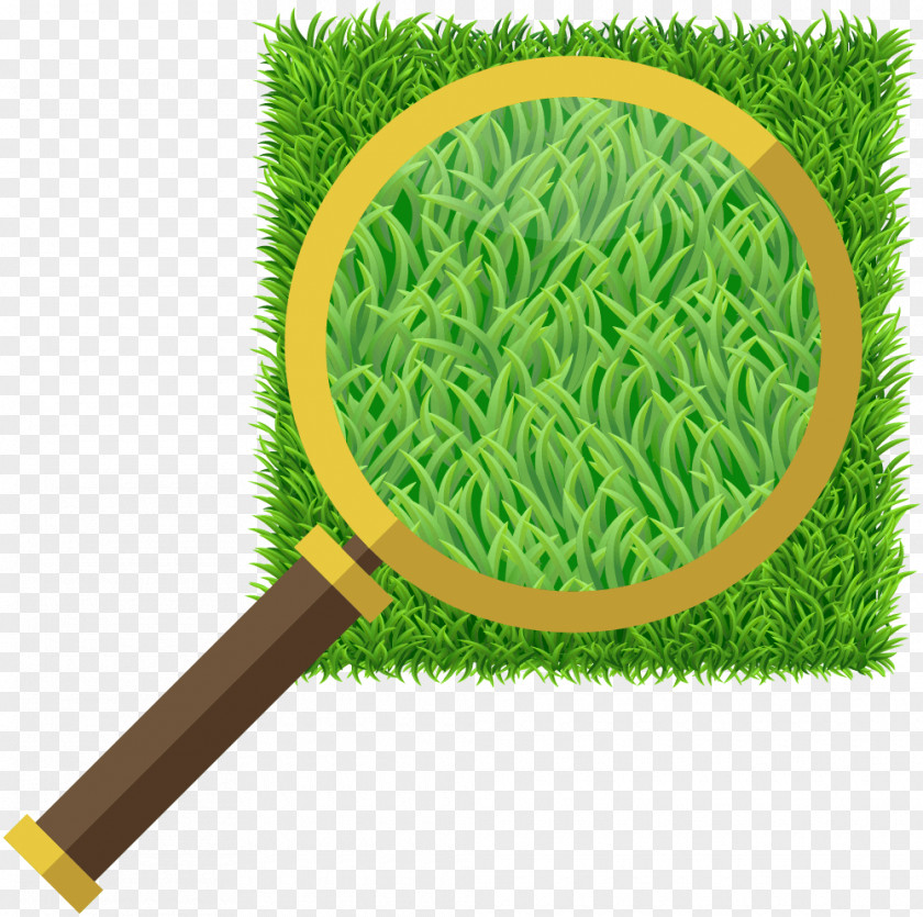 Turf Jack's Artificial Lawn Synthetic Fiber Magnifying Glass PNG