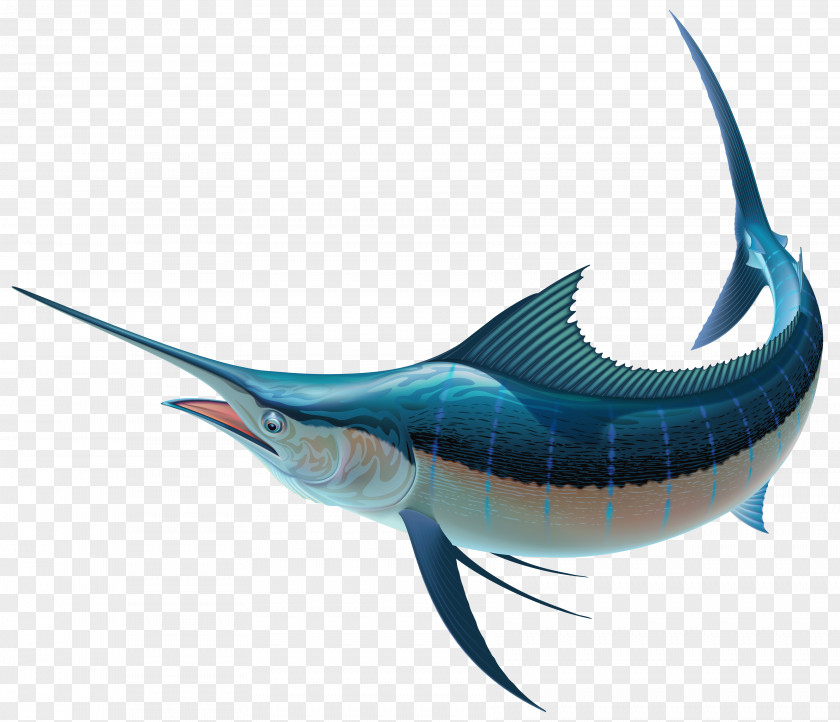 Under Sea Swordfish Recreational Fishing Sailfish Clip Art PNG