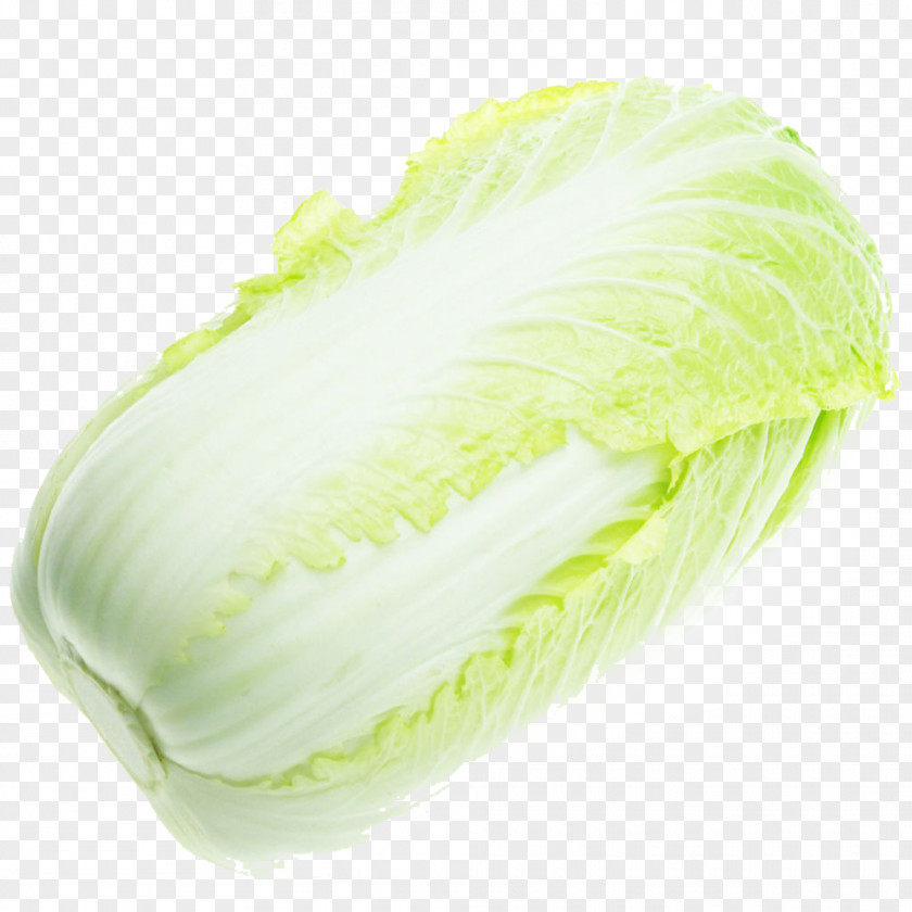 Vegetable Cabbage Leaf Savoy Jiaozi PNG