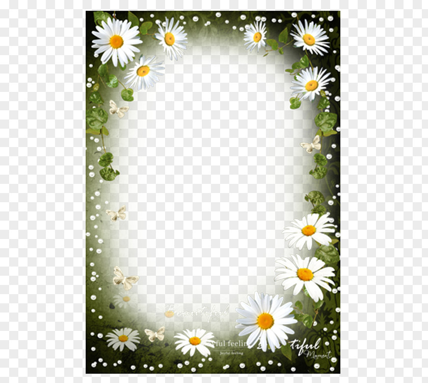 White Dandelion Flower Photo Frame Paper Clip Art PNG