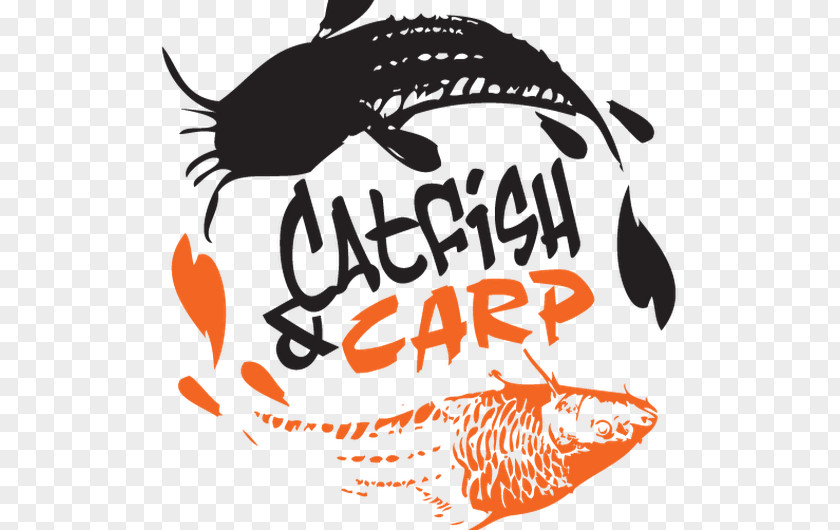 Fishing Carp Catfish Catch More PNG