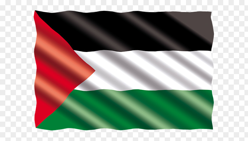 Flag State Of Palestine Singapore PNG