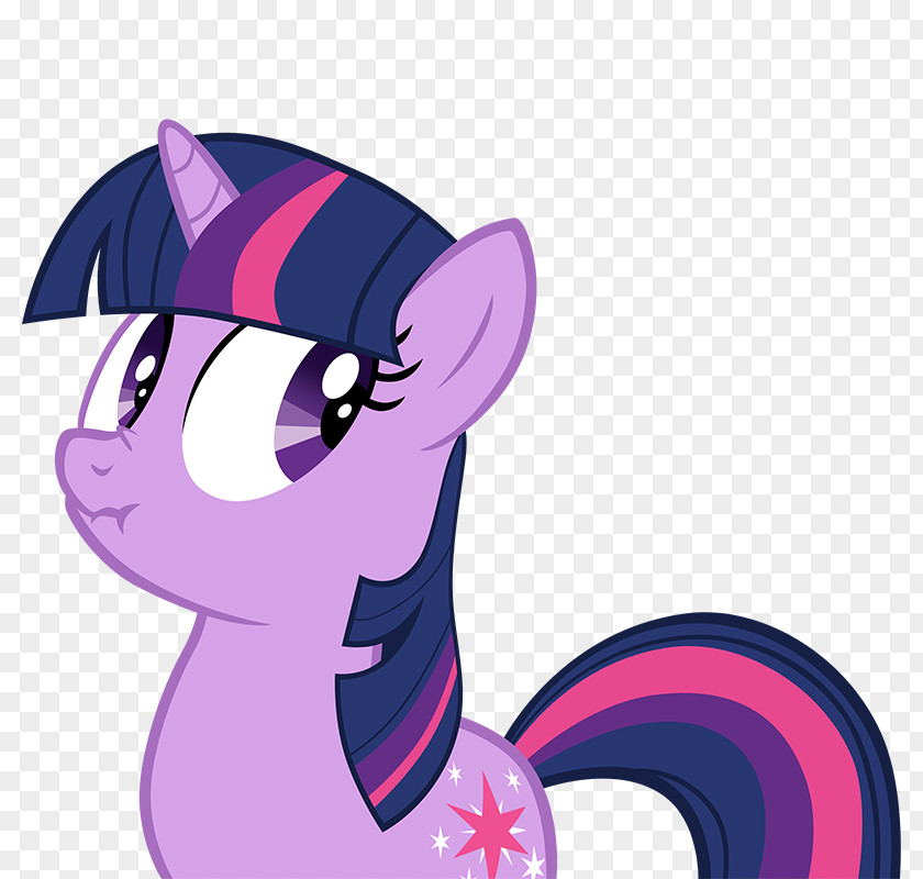 Pony Twilight Sparkle Rainbow Dash Pinkie Pie Sunset Shimmer PNG