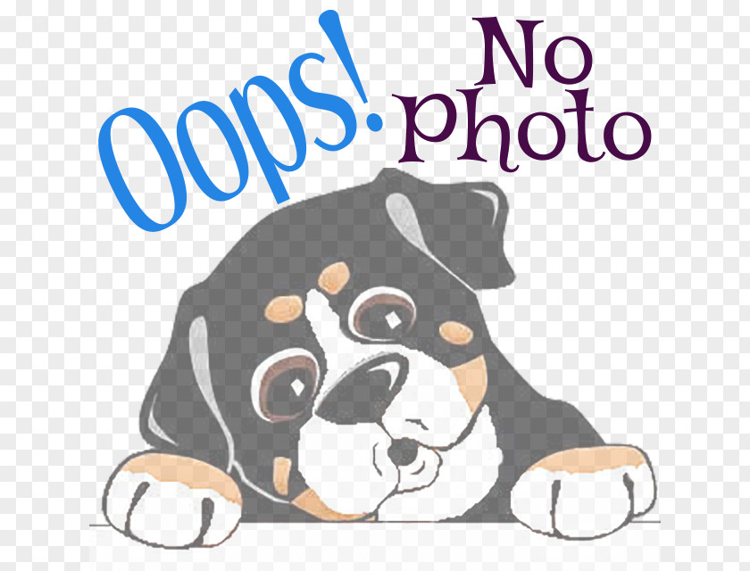 Puppy Dog Breed Bernese Mountain Graphics PNG