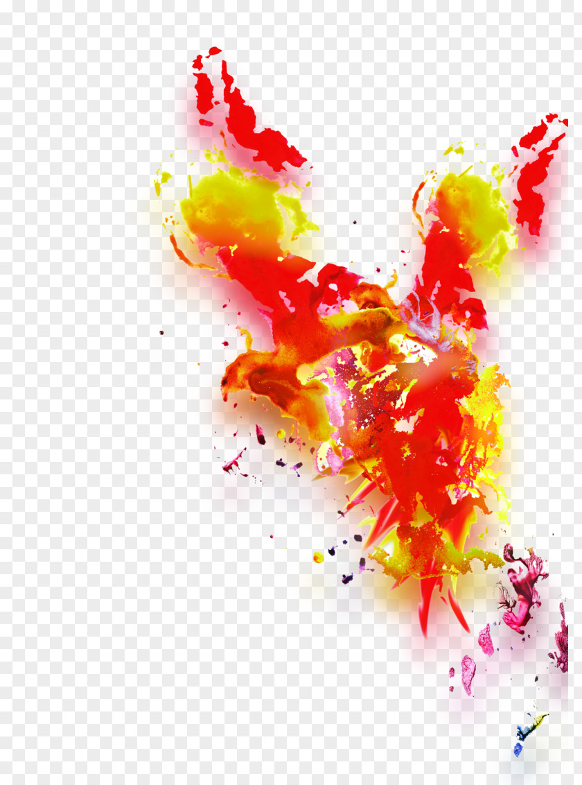 Red Splash Bird Graphic Design Art Photography PNG