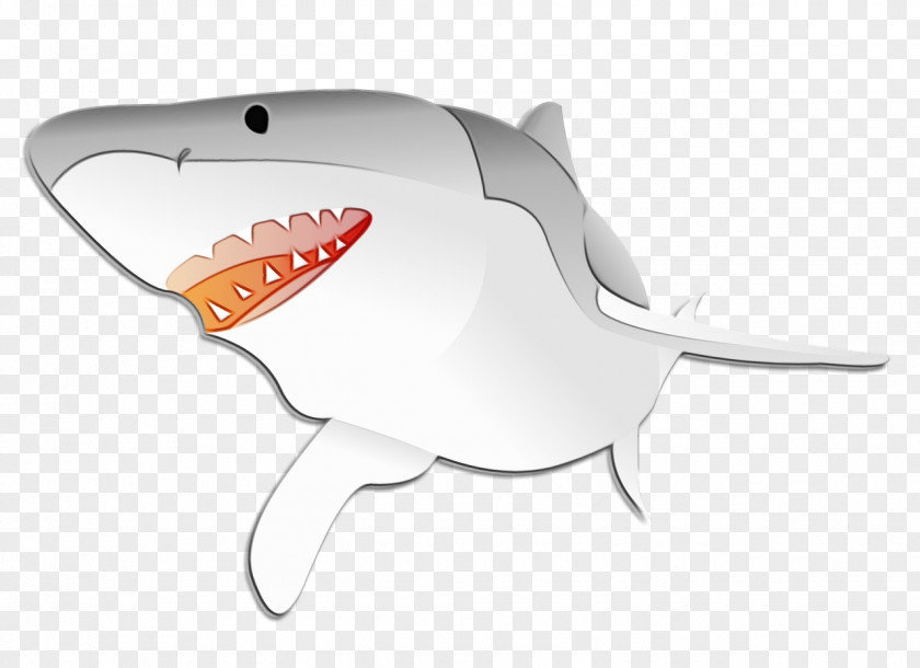 Tooth Requiem Shark Great White Background PNG