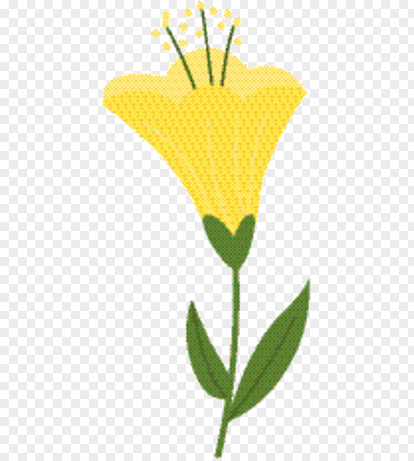 Botany Plant Yellow Flower PNG