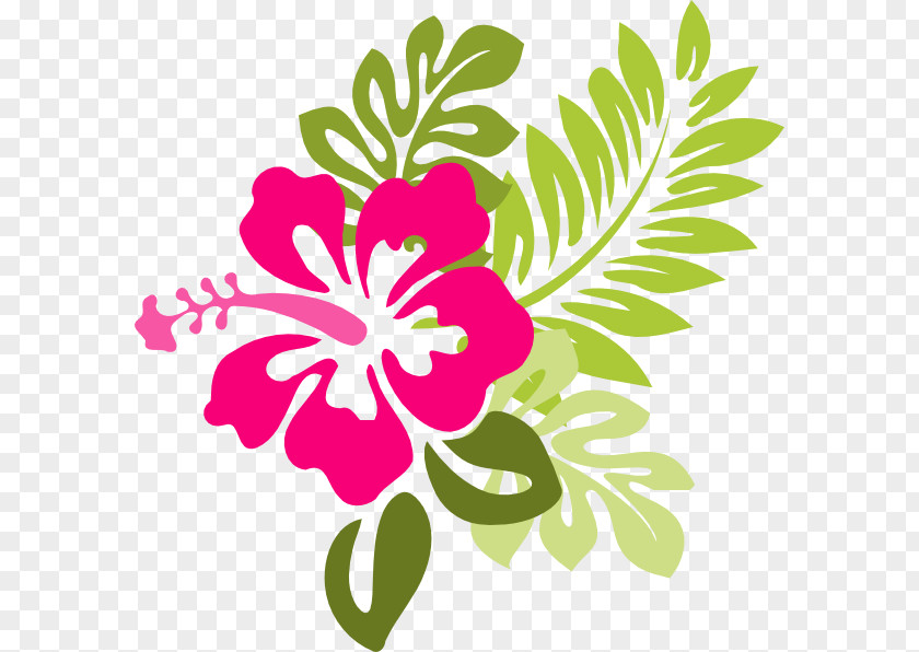 Hibiscus Cartoon Hawaiian Flower Clip Art PNG