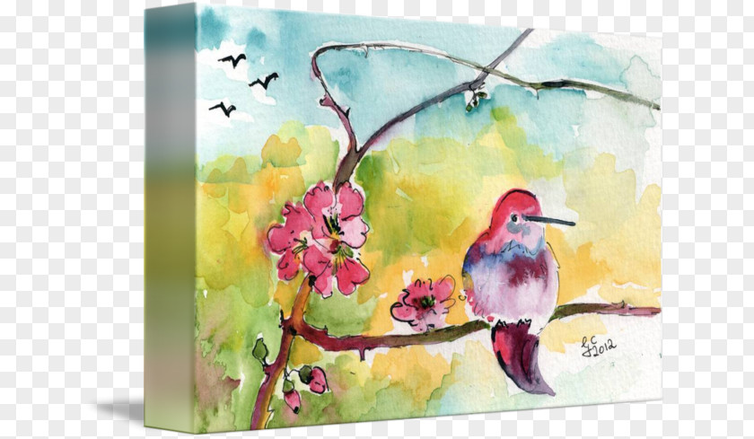 Hummingbird Watercolor Painting Oil Paint Art Drawing PNG