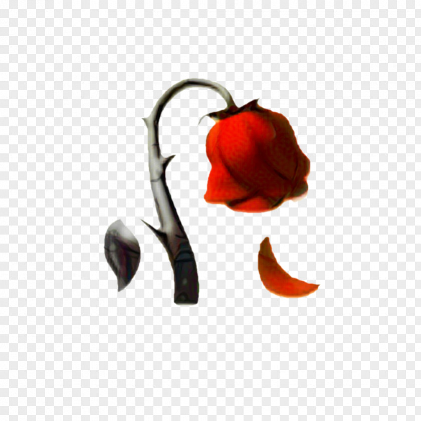 Nightshade Family Lily Iphone Emoji Heart PNG