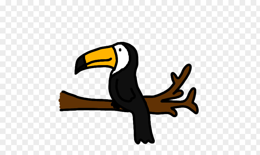 Toucan Bird Of Prey Beak PNG