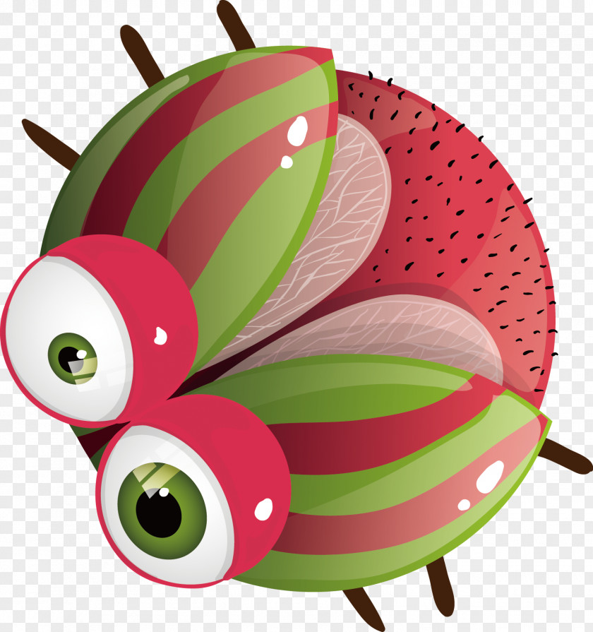 Vector Cute Ladybug Drawing Ladybird Illustration PNG
