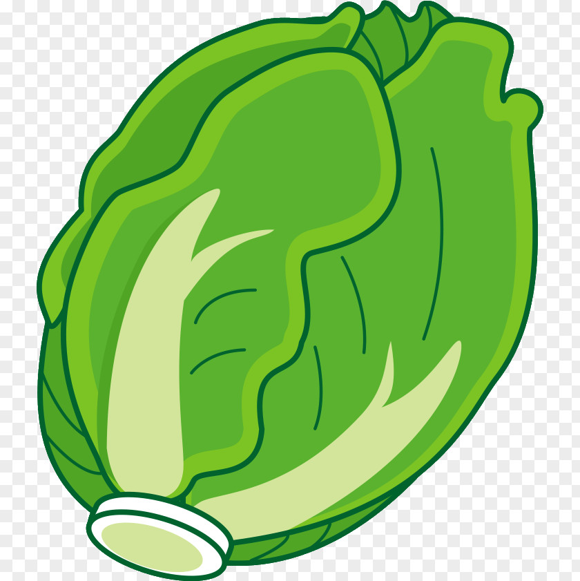 Vegetable Napa Cabbage Nabemono Leaf Oden PNG