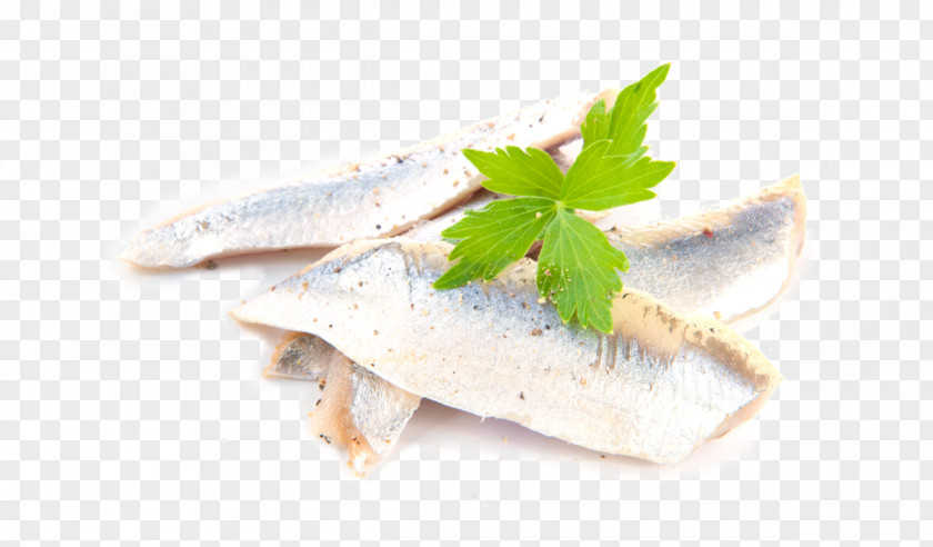 Vis Soused Herring Atlantic European Sprat Mackerel Smoking PNG