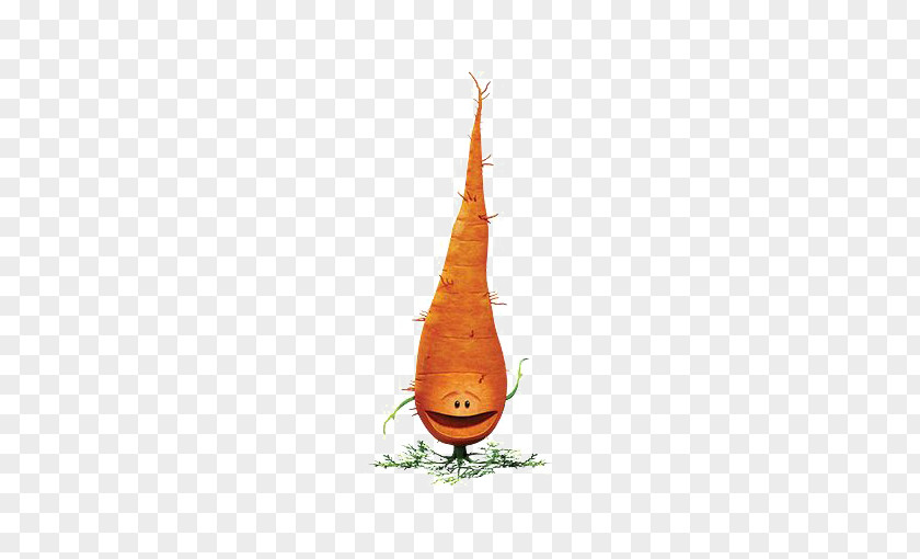 Cartoon Carrot Drawing Icon PNG