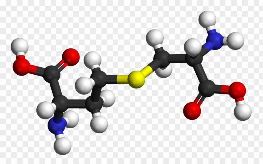 Hair Cystathionine Beta Synthase Cysteine Cystine Amino Acid PNG