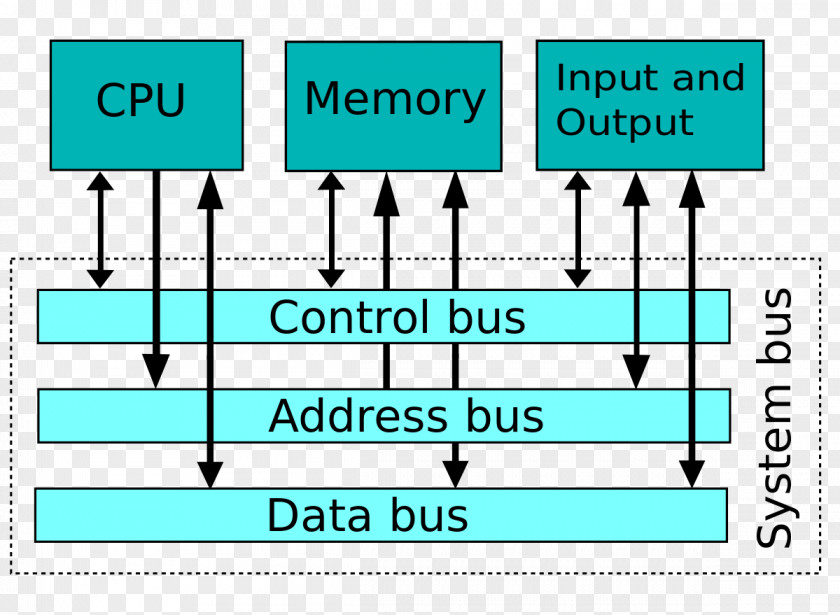 Separate Lines System Bus Control Address Computer PNG