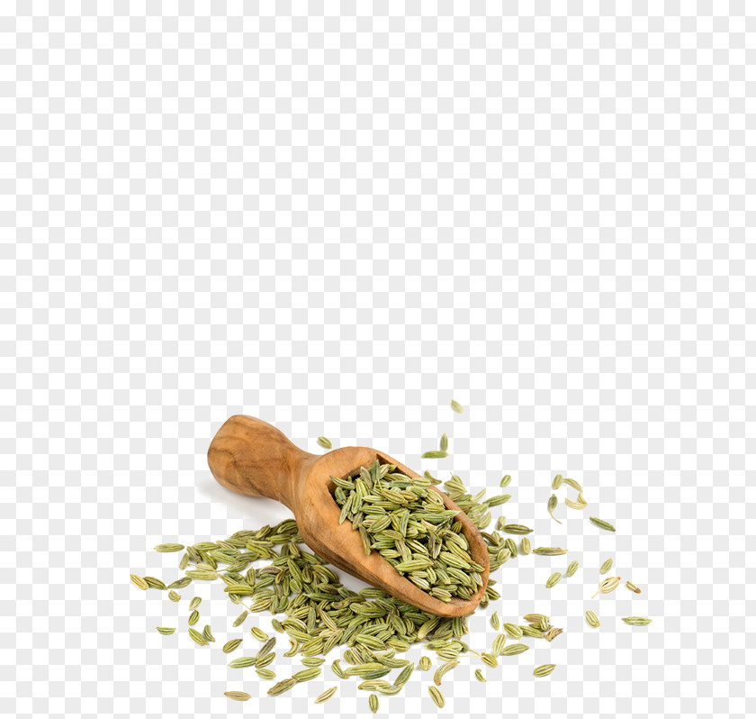 Spice Falafel Herbalism Alternative Health Services Medicine PNG