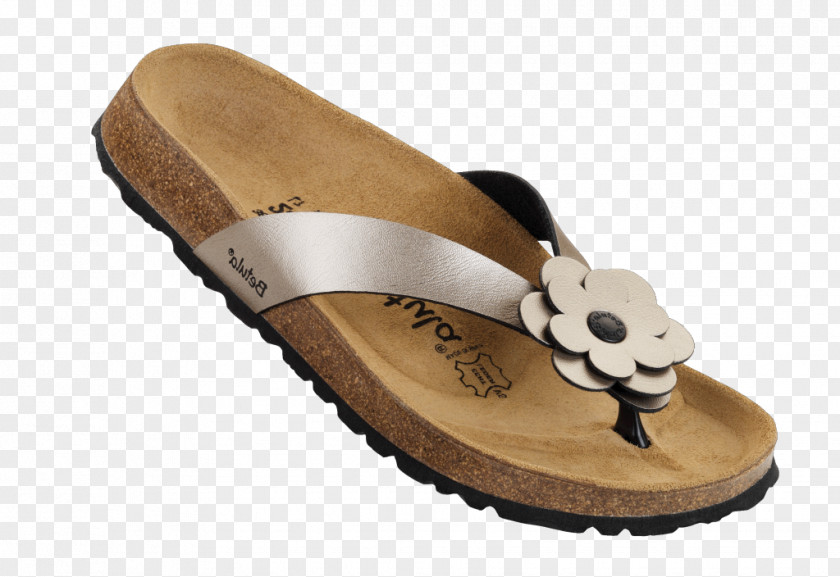 Betula Slipper Flip-flops Shoe PNG