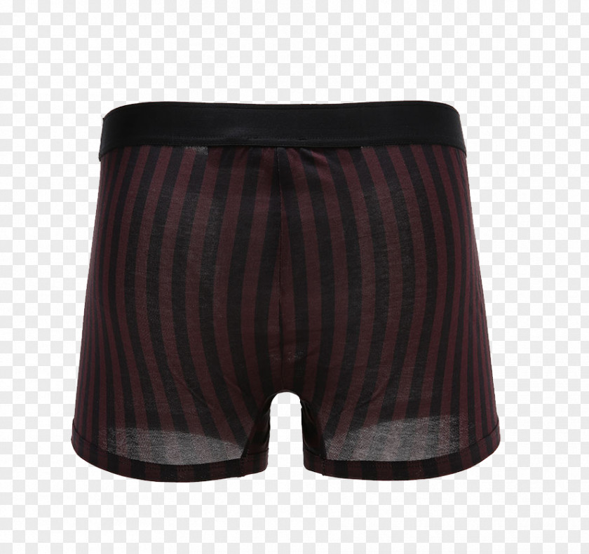Dolce & Gabbana Underwear On The Back Of A Black Belt Line Swim Briefs Underpants Trunks Waist PNG