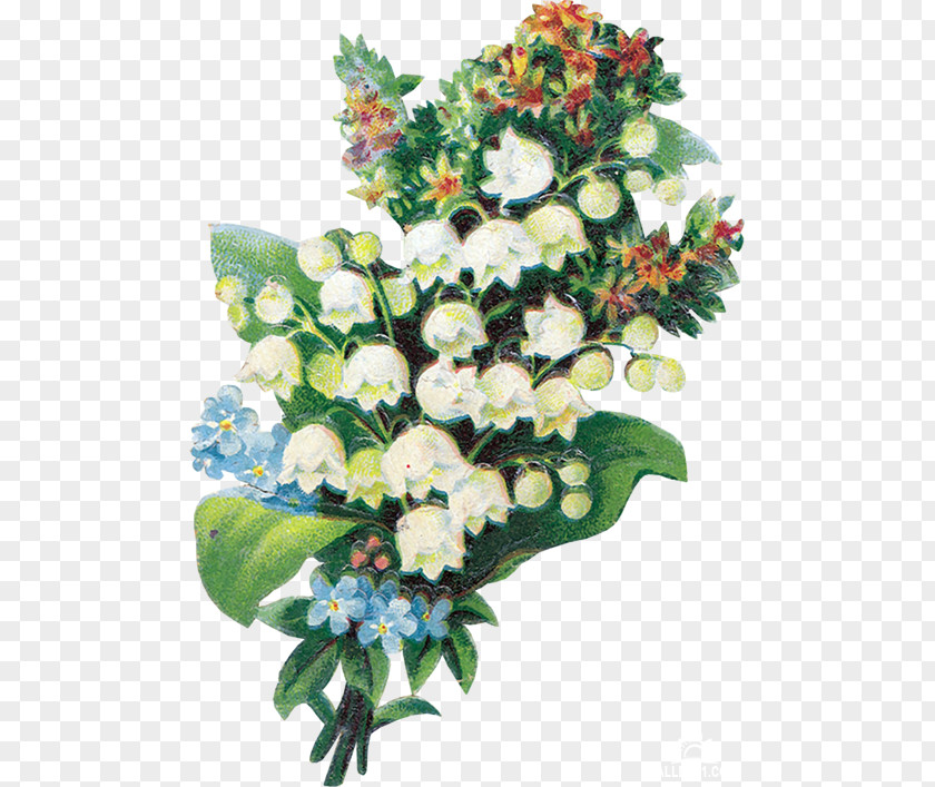 Flower Landishi Цветы Lily Of The Valley Animaatio PNG