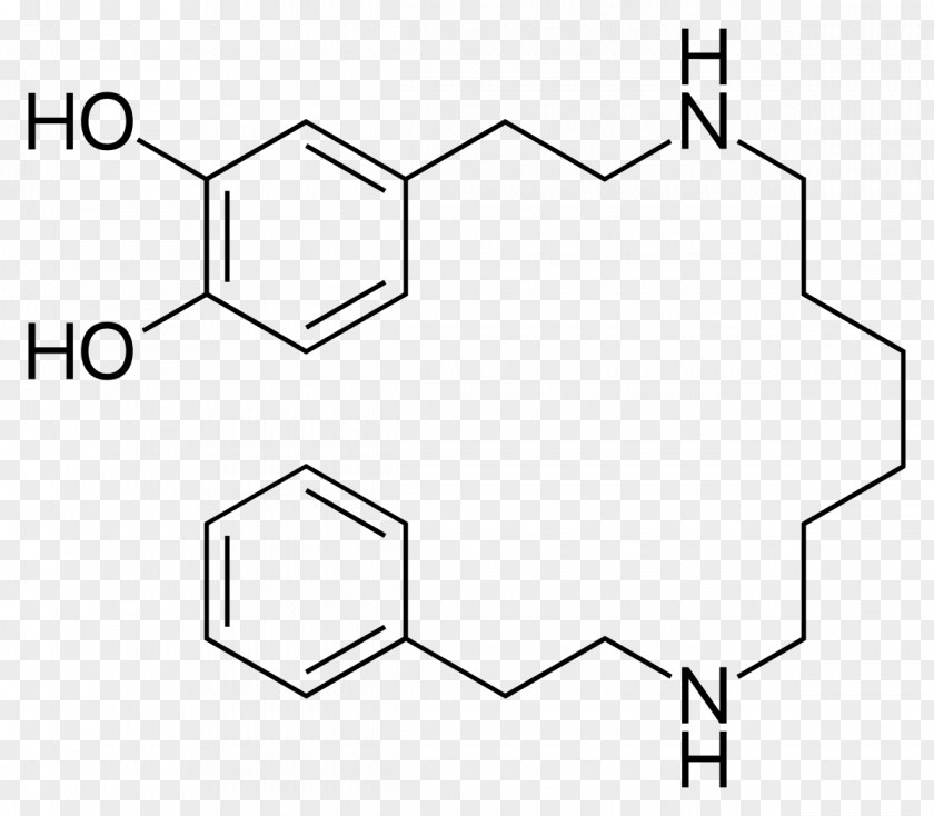 Levodopa Aromatic L-amino Acid Decarboxylase Norepinephrine Phenylalanine Dopamine PNG