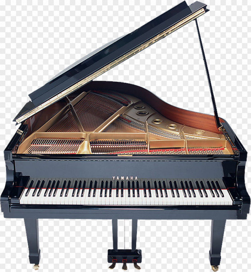 Piano Download Musical Instrument PNG