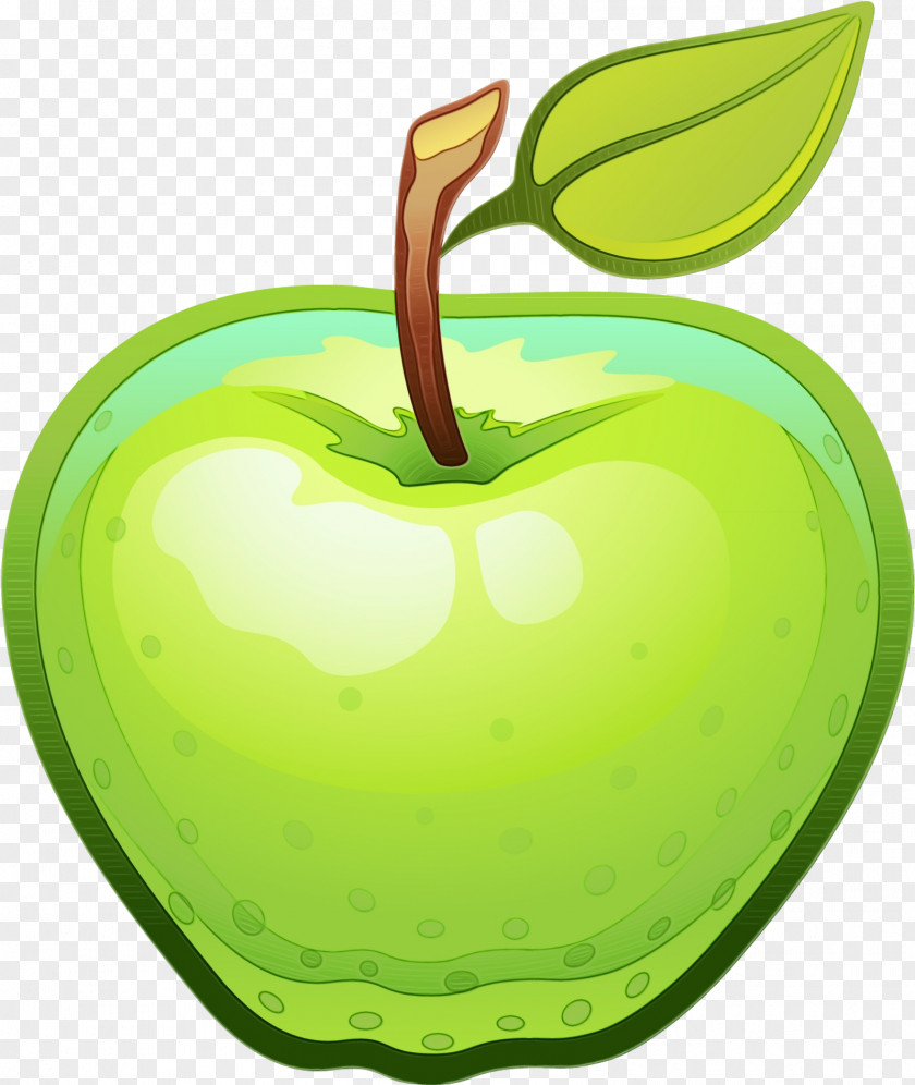 Seedless Fruit Accessory Apple Tree Drawing PNG